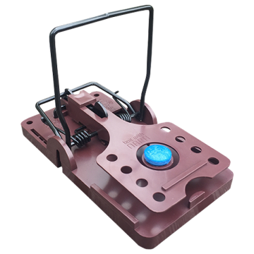 Gorilla Rat Trap