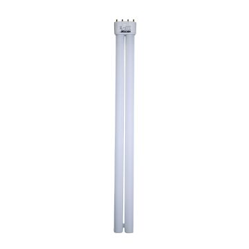 BB TL 36w sp