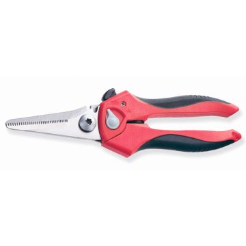 Avishock Schaar