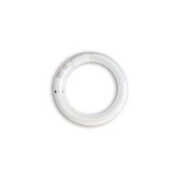 IOC Synergetic 22w Circline anti-éclats